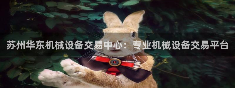 ag怎么变成九游会了
