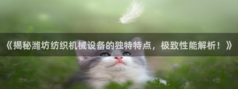 九游会平台网址