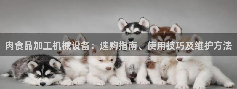 ag久游会