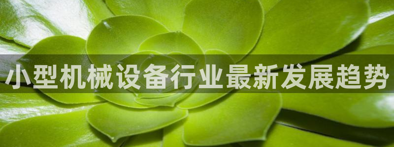 九游会ag官方网站