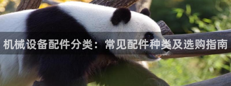 九游会中国入口嘛