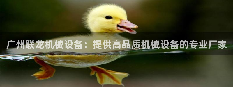 九游会官网进入口