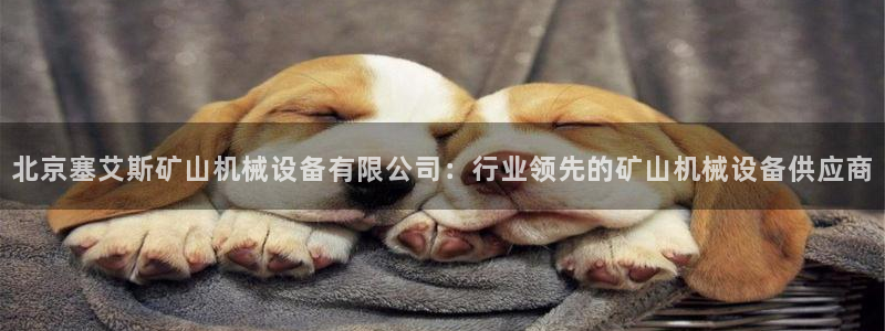 九游会老哥俱乐部论坛版