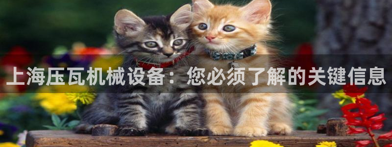 ag老队友