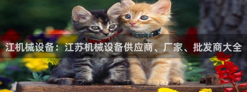 九游会网址在线玩