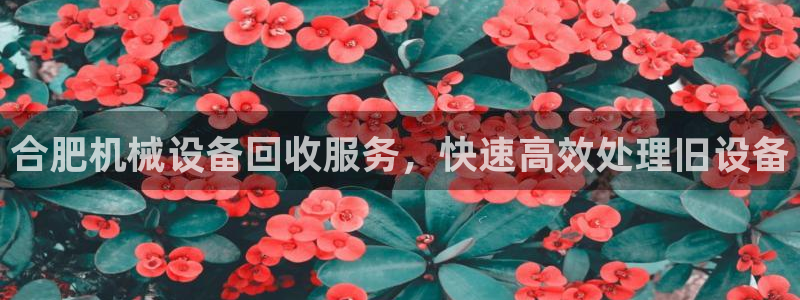 九游会j9