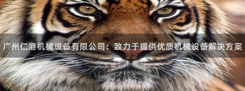 ag老帅百度百科