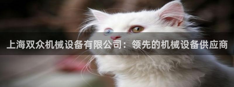 九游会AG下载手机端
