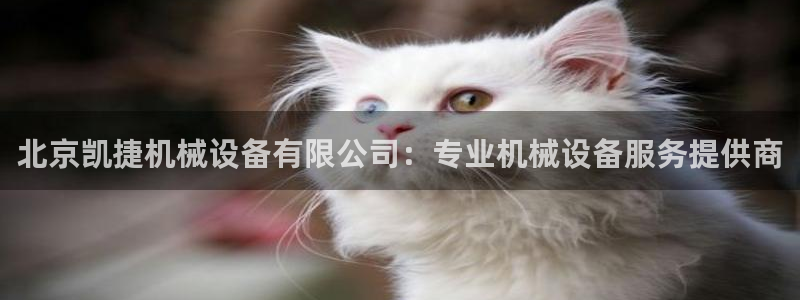 九游会j9官网网站