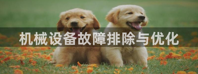 九游会网址多少