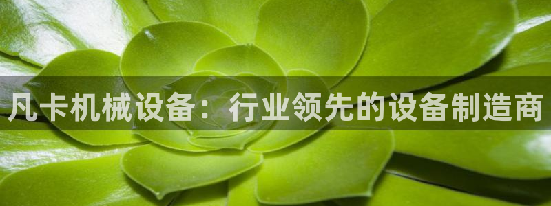 九游会官网客户端