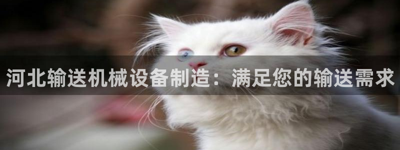 ag手游俱乐部