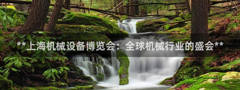 九游会平台网址