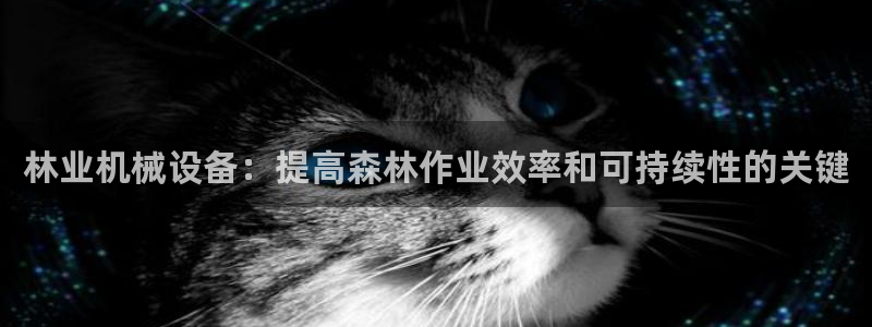 九游会vip
