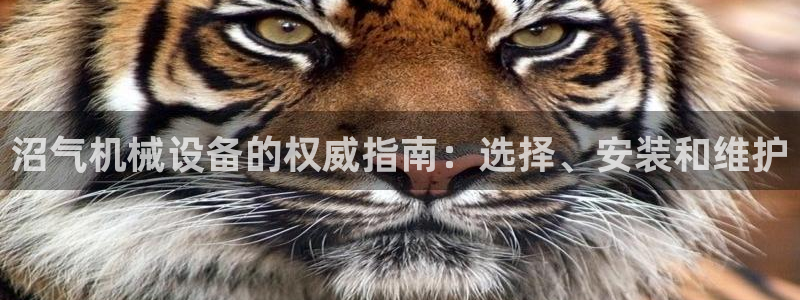 九游会官网真人认证吗是真的吗