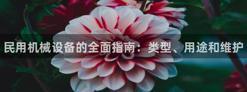 j9j4.cn