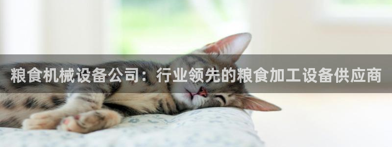 J9九游会官网app