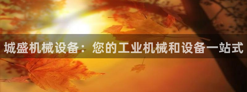 九游会j9