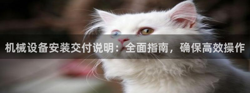 九游会官网真人认证吗安全吗