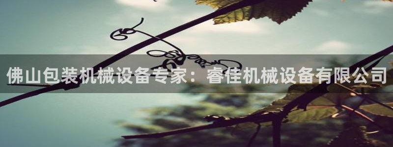 九游会 网址