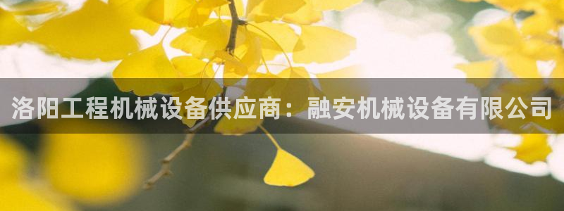 9游会app