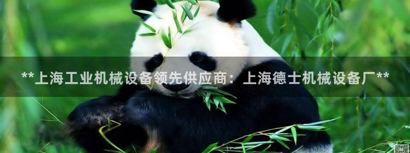 9游会老哥