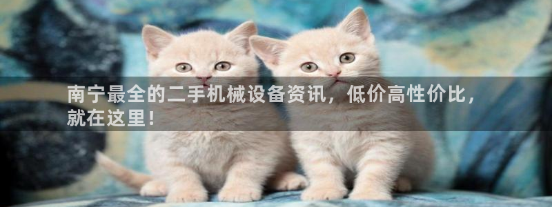 j9九游会备用网址