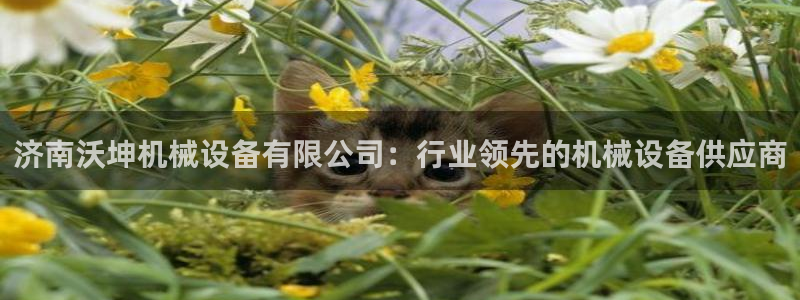 九游会官网在线