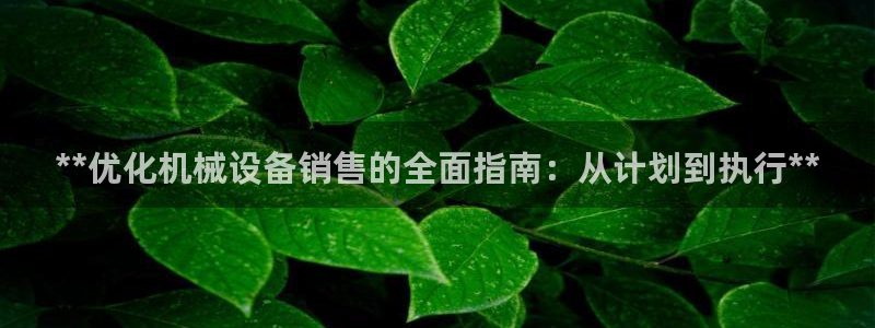 ag改名九游会