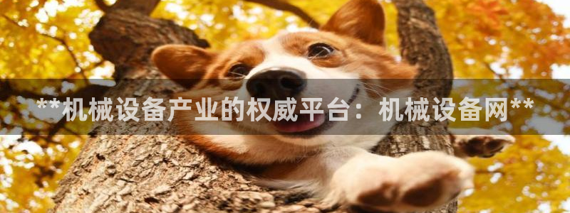 九游会官网真人游戏第一品牌