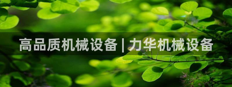 九游会这几天打不开了