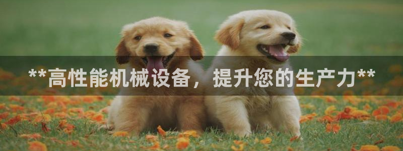 九游会j9