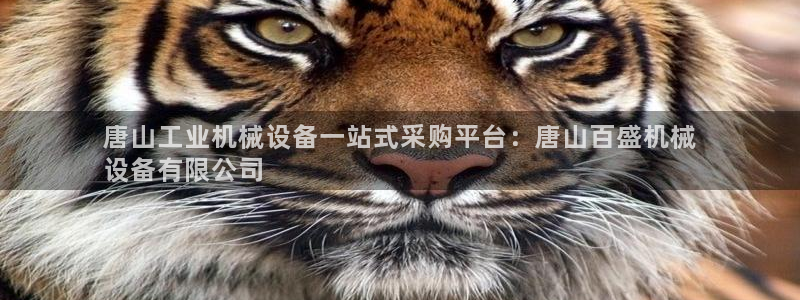 九游会国际厅有限责任公司