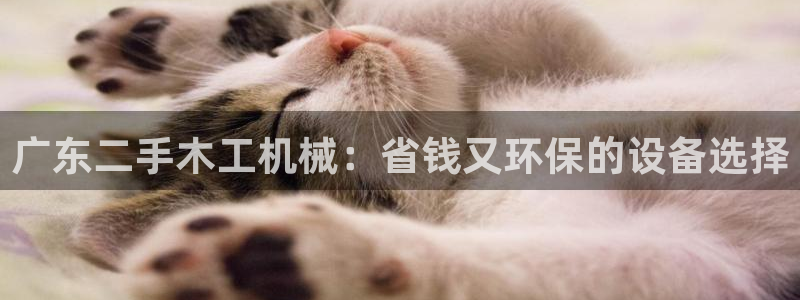 九游会AG下载手机端