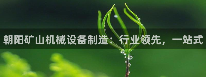 九游会 网址