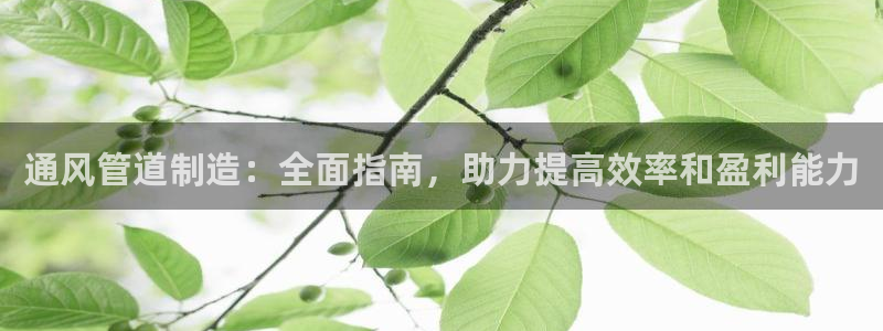 j9九游会游戏