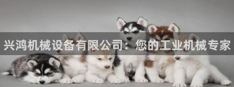 九游会ag老哥俱乐部