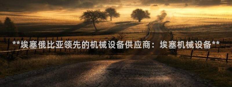 九游会官网网址是多少