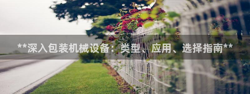 九游会ag入口