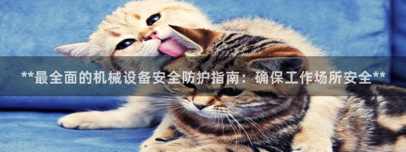 九游会数字货币