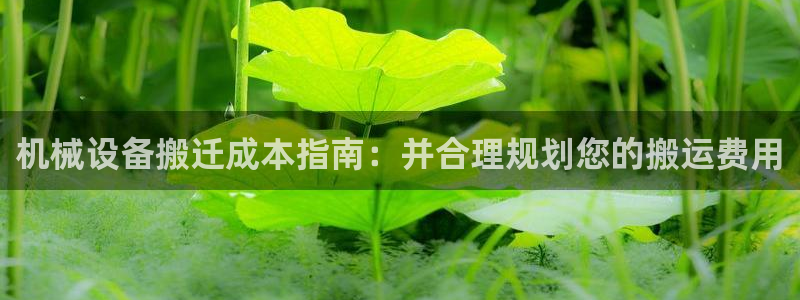 j9九游会如何充值