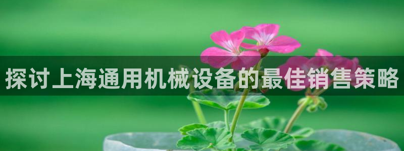 九游会的网址是多少