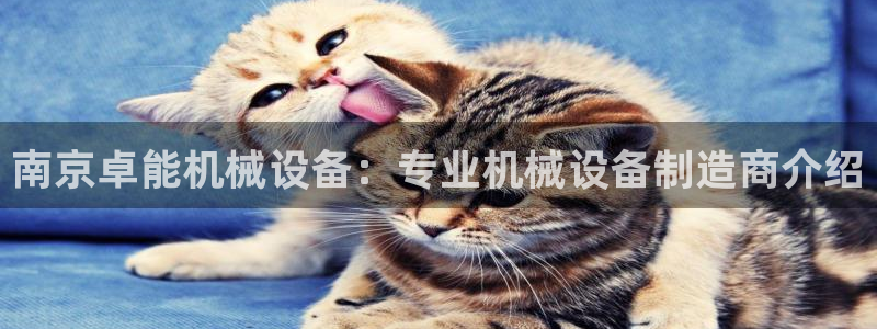 J9九游会国际