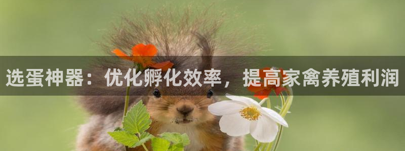 九游j9打不开