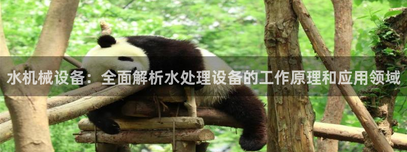 九游会官网入口ag亚洲