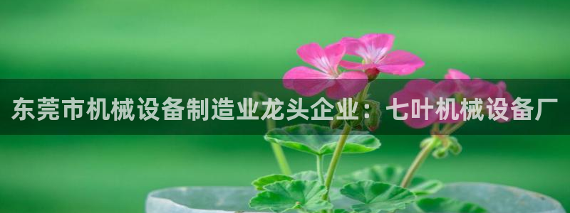 九游会老哥俱乐部论坛版