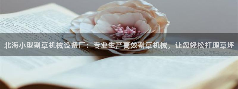九游会ag入口