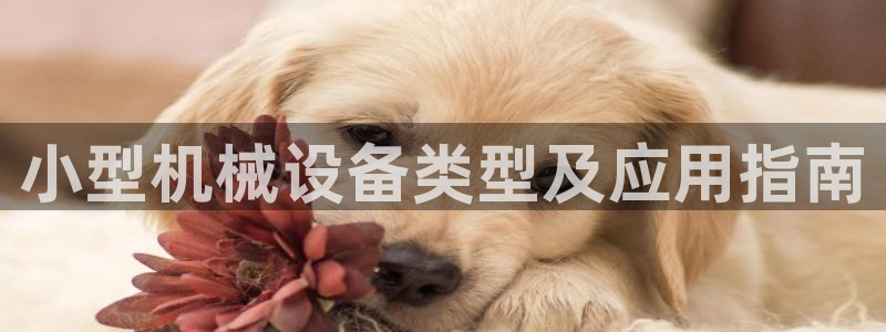 九游会在线官方网站下载吗