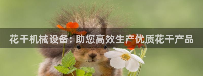 九游会登不上