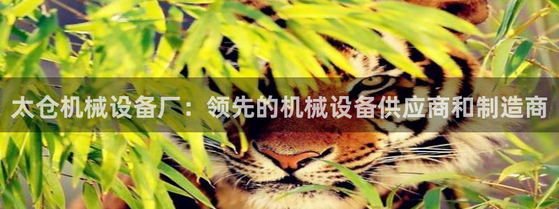 九游会官方链接